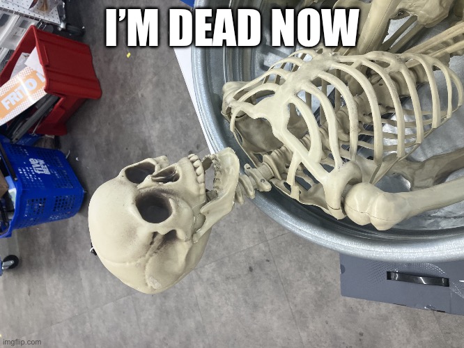 Man I’m Dead | I’M DEAD NOW | image tagged in man i m dead | made w/ Imgflip meme maker