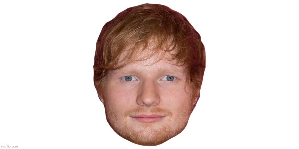 Ed Sheeran's disembodied head | image tagged in ed sheeran's disembodied head | made w/ Imgflip meme maker