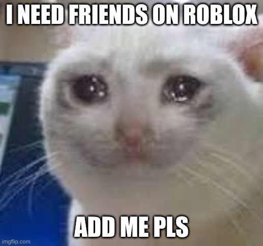add me? | I NEED FRIENDS ON ROBLOX; ADD ME PLS | made w/ Imgflip meme maker