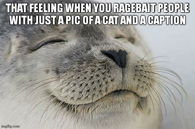 Satisfied Seal | THAT FEELING WHEN YOU RAGEBAIT PEOPLE WITH JUST A PIC OF A CAT AND A CAPTION | image tagged in memes,satisfied seal,why ya readin the tags boy,get out of my tag section | made w/ Imgflip meme maker