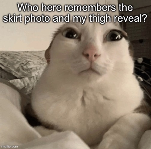 goober | Who here remembers the skirt photo and my thigh reveal? | image tagged in goober | made w/ Imgflip meme maker