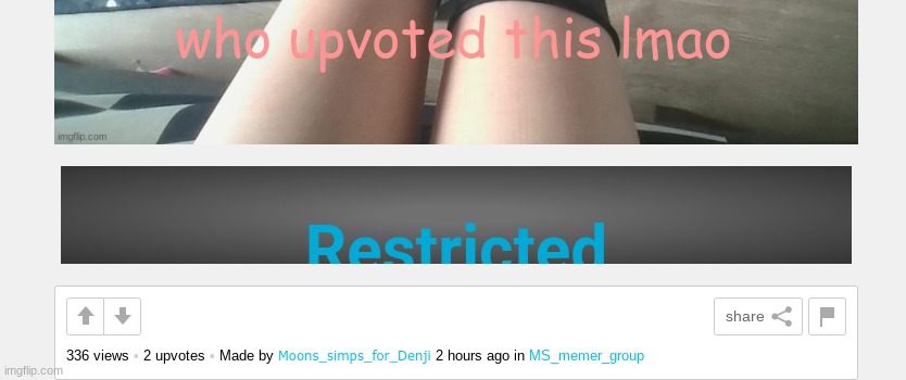 who upvoted this lmao | made w/ Imgflip meme maker