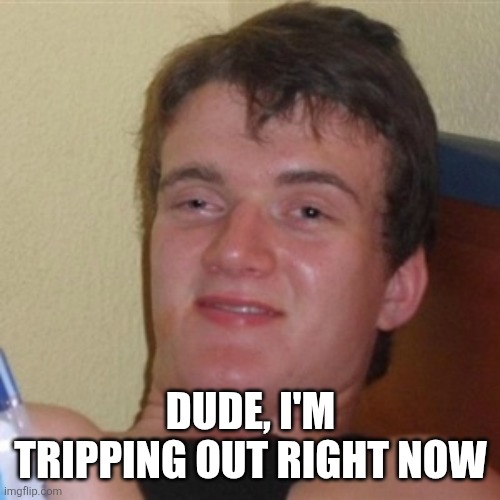 High/Drunk guy | DUDE, I'M TRIPPING OUT RIGHT NOW | image tagged in high/drunk guy | made w/ Imgflip meme maker