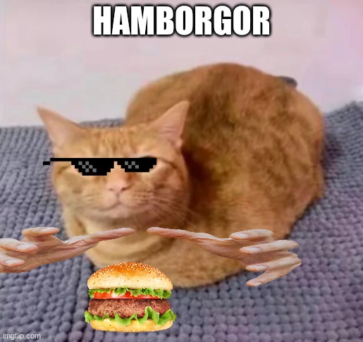 Hamborgor cat i think | HAMBORGOR | image tagged in hamborgor cat i think | made w/ Imgflip meme maker