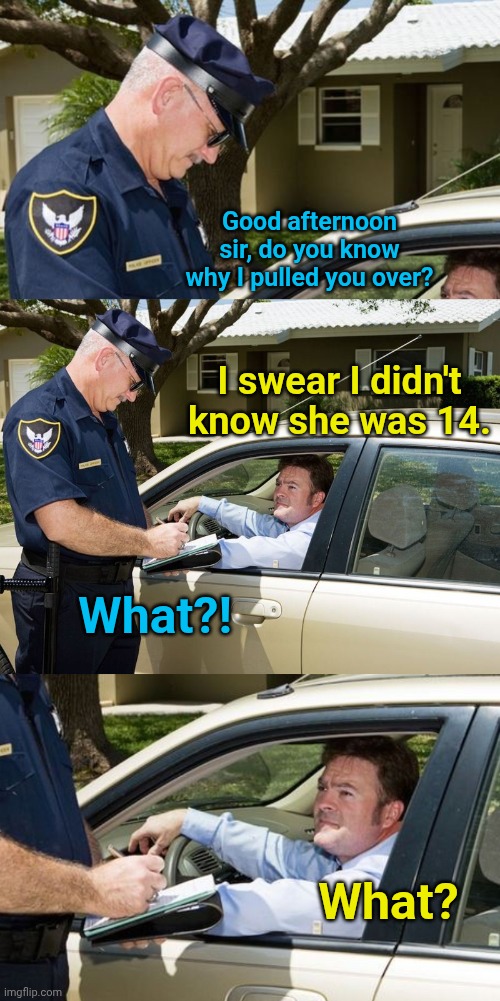 Good afternoon sir, do you know why I pulled you over? I swear I didn't know she was 14. What?! What? | image tagged in cop giving ticket | made w/ Imgflip meme maker