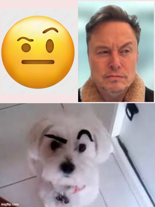 Speculative Elon is... | image tagged in speculative | made w/ Imgflip meme maker