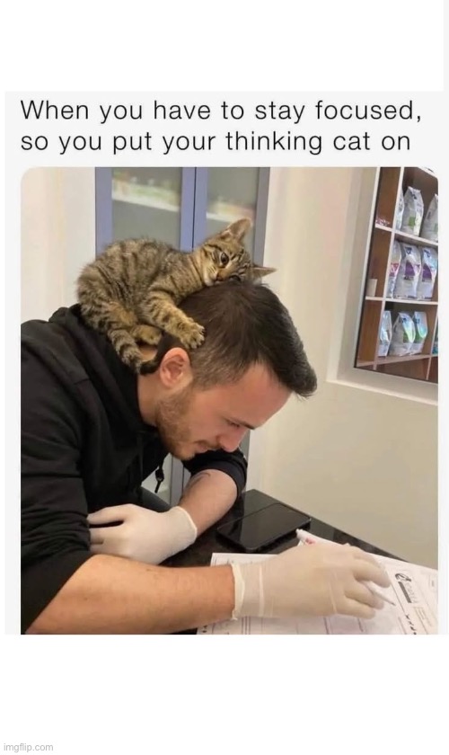 Thinking what? | image tagged in thinking,cat,cap | made w/ Imgflip meme maker
