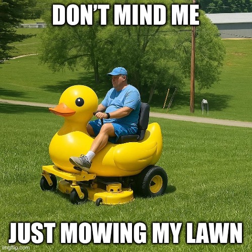 Lawn mower | DON’T MIND ME; JUST MOWING MY LAWN | image tagged in lawnmower,duck,ride | made w/ Imgflip meme maker