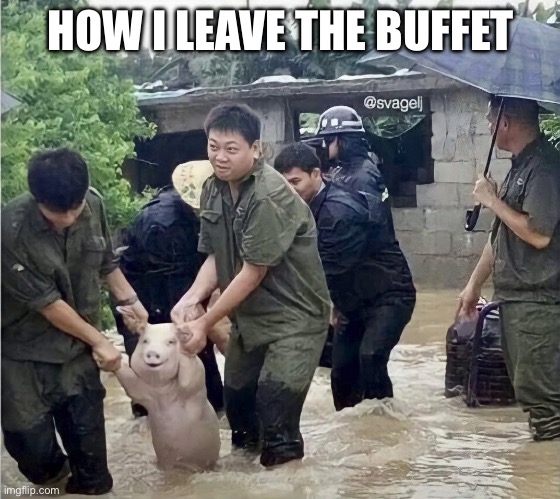 Buffet | HOW I LEAVE THE BUFFET | image tagged in buffet,pig | made w/ Imgflip meme maker