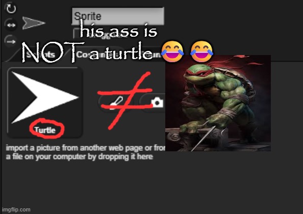 his ass is NOT a turtle 😂😂 | made w/ Imgflip meme maker