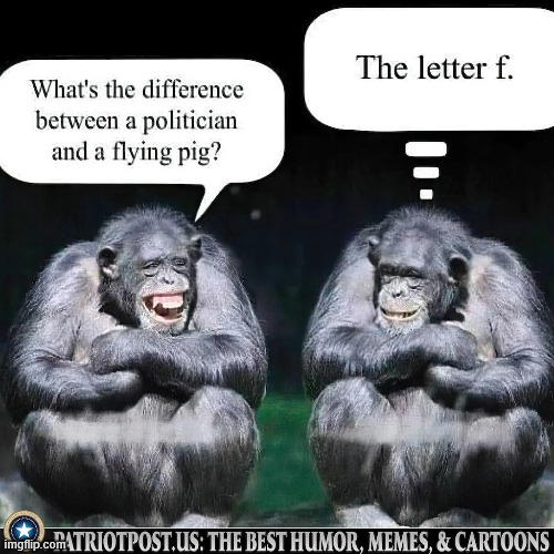 Letter F | image tagged in political,reposts,letter f | made w/ Imgflip meme maker