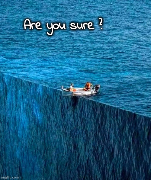 Are you sure ? | made w/ Imgflip meme maker