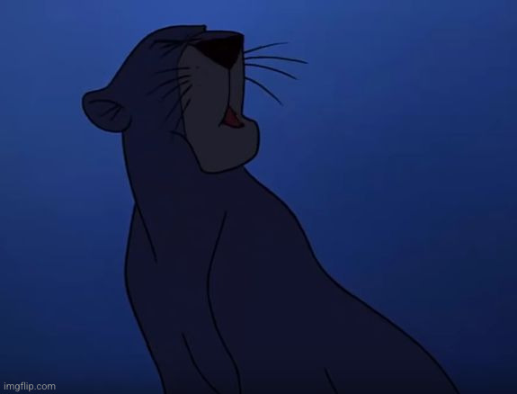 Bagheera | image tagged in bagheera | made w/ Imgflip meme maker