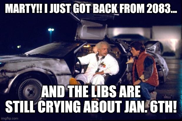 Hello McFly | MARTY!! I JUST GOT BACK FROM 2083... AND THE LIBS ARE STILL CRYING ABOUT JAN. 6TH! | image tagged in liberal logic,back to the future,funny,politics suck | made w/ Imgflip meme maker