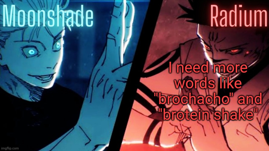 Moonshade and Radium JJK Template | I need more words like "brochacho" and "brotein shake" | image tagged in moonshade and radium jjk template | made w/ Imgflip meme maker