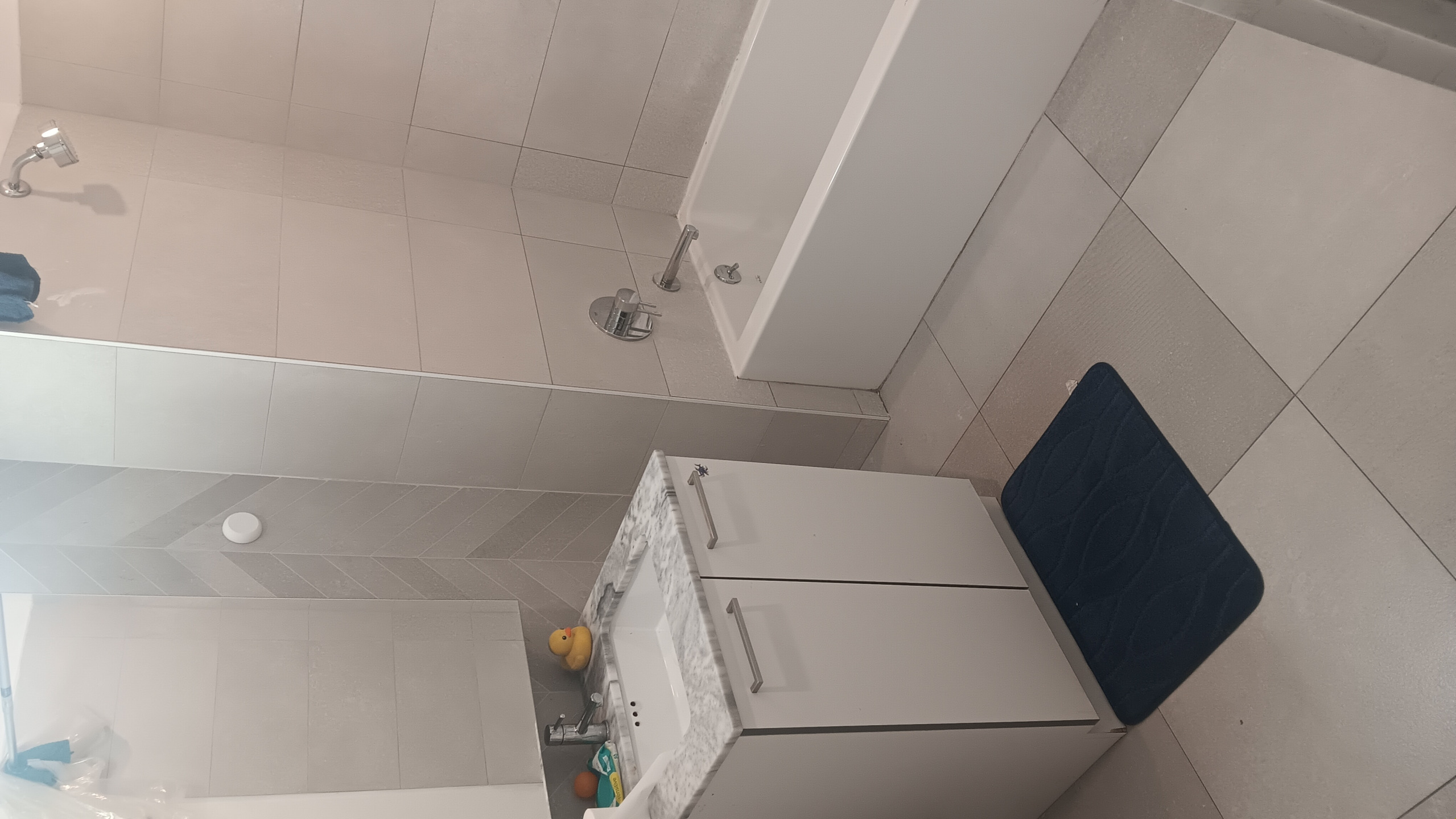 Clean bathroom Blank Meme Template