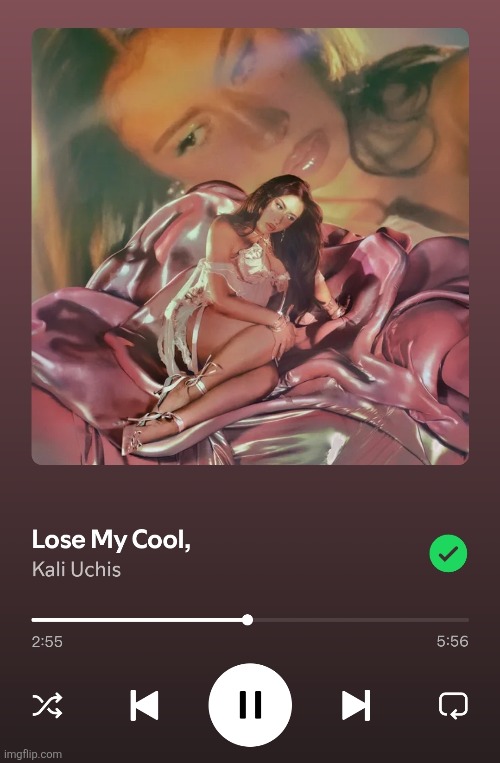 Listening to this album reminds me of why I love women | made w/ Imgflip meme maker