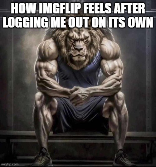 ten times a day | HOW IMGFLIP FEELS AFTER LOGGING ME OUT ON ITS OWN | image tagged in chad lion | made w/ Imgflip meme maker