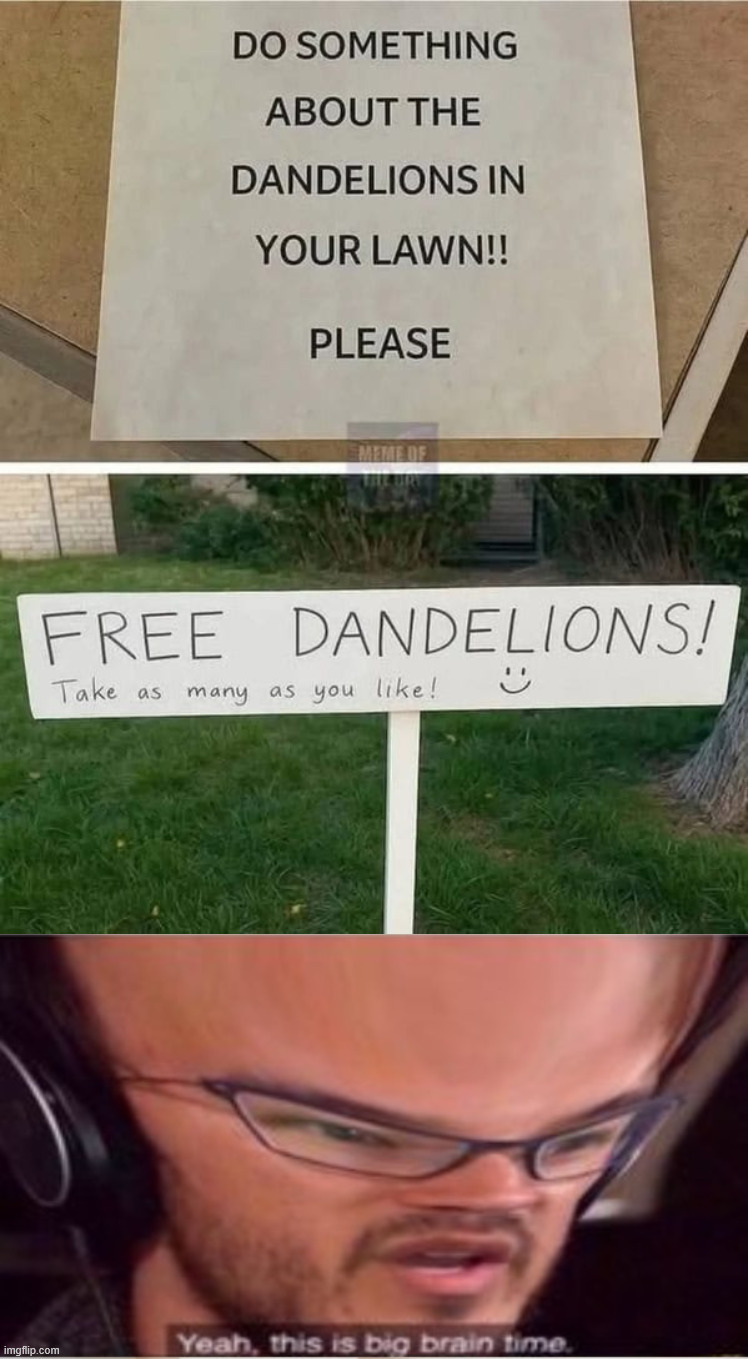 Problem solved | image tagged in bigger big brain time,memes,dandelion | made w/ Imgflip meme maker