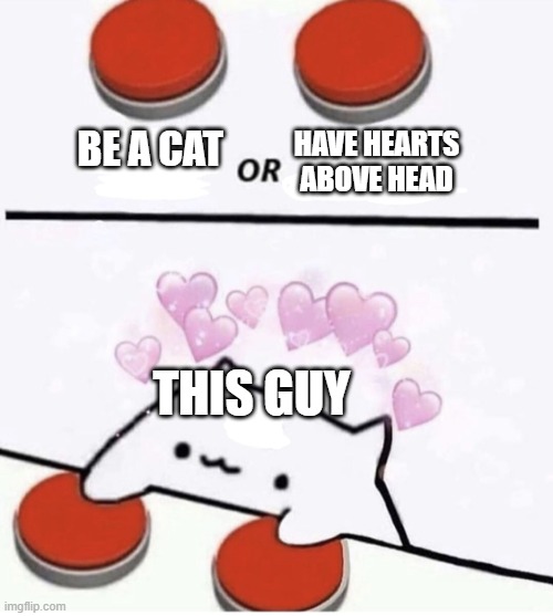 Another one | BE A CAT; HAVE HEARTS ABOVE HEAD; THIS GUY | image tagged in cat pressing two buttons | made w/ Imgflip meme maker