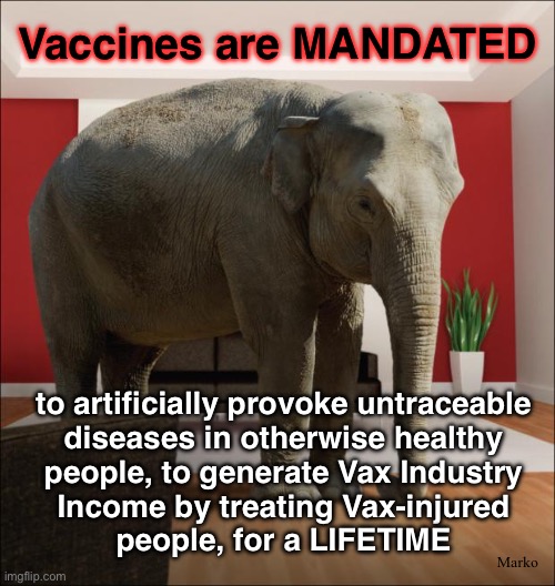 THEY’re GAMING You — They Always Are — Ya just gotta be hip to the PSYOP | Vaccines are MANDATED; to artificially provoke untraceable
diseases in otherwise healthy
people, to generate Vax Industry
Income by treating Vax-injured
people, for a LIFETIME; Marko | image tagged in elephant in the room,all vaccines are poison,mrna will be the death of more people,n death of vax industry,vax liability | made w/ Imgflip meme maker