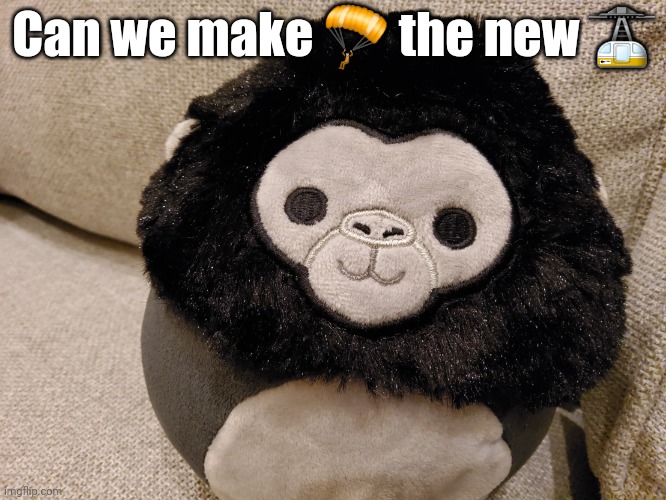 Gorilla plush | Can we make 🪂 the new 🚡 | image tagged in gorilla plush | made w/ Imgflip meme maker