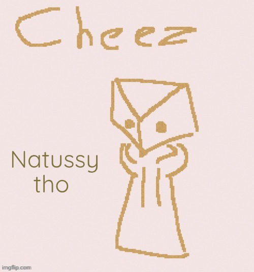 Cheez | Natussy tho | image tagged in cheez | made w/ Imgflip meme maker