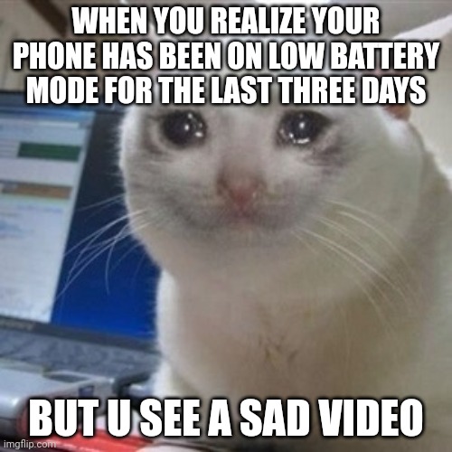 Crying cat | WHEN YOU REALIZE YOUR PHONE HAS BEEN ON LOW BATTERY MODE FOR THE LAST THREE DAYS BUT U SEE A SAD VIDEO | image tagged in crying cat | made w/ Imgflip meme maker