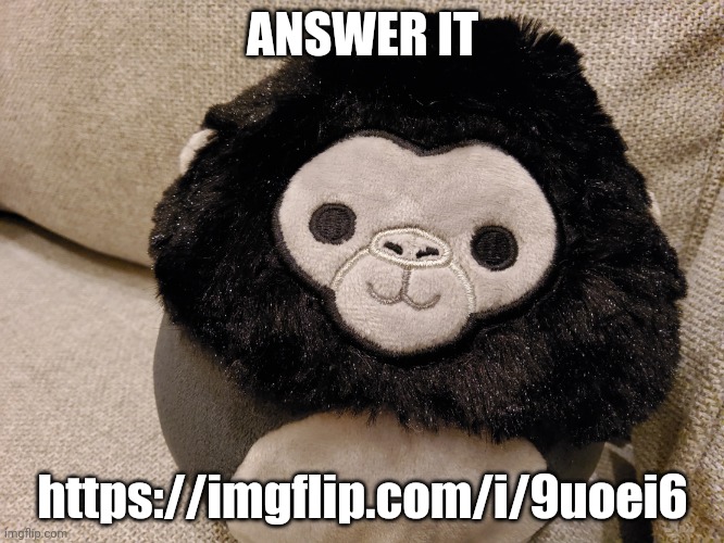 Would it be peak? Gimem your thoughts | ANSWER IT; https://imgflip.com/i/9uoei6 | image tagged in gorilla plush | made w/ Imgflip meme maker