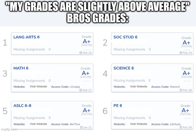 Grades | "MY GRADES ARE SLIGHTLY ABOVE AVERAGE"
BROS GRADES: | image tagged in true,funny,memes,school | made w/ Imgflip meme maker