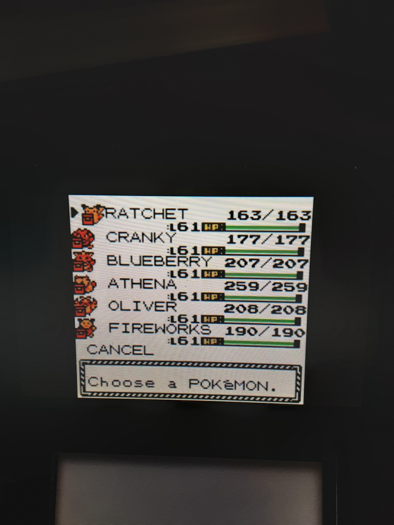 pokemon gold team Blank Meme Template