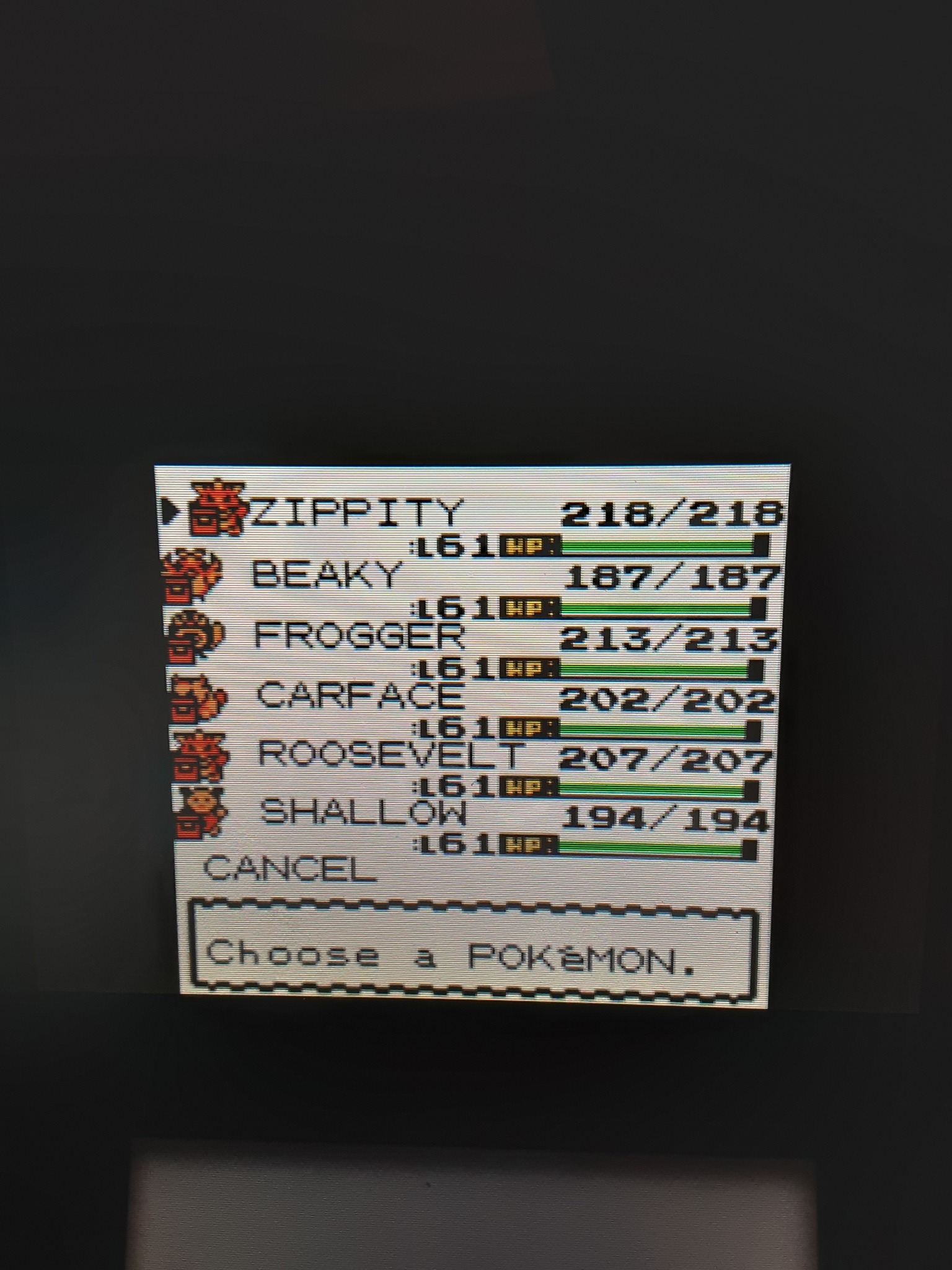pokemon sliver team Blank Meme Template