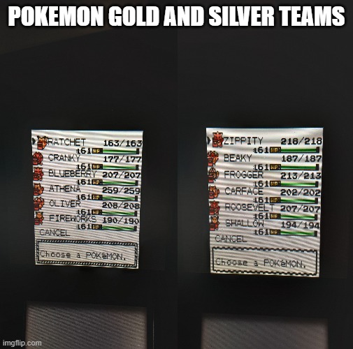 pokemon gold and sliver teams | POKEMON GOLD AND SILVER TEAMS | image tagged in pokemon,video games,pokemon gold and sliver,pokemon teams,gameboy,gen 2 | made w/ Imgflip meme maker