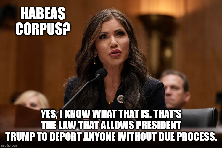 HABEAS CORPUS? YES, I KNOW WHAT THAT IS. THAT'S THE LAW THAT ALLOWS PRESIDENT TRUMP TO DEPORT ANYONE WITHOUT DUE PROCESS. | made w/ Imgflip meme maker