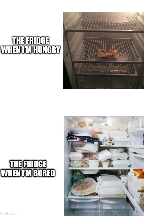 Anybody agree? | THE FRIDGE WHEN I’M HUNGRY; THE FRIDGE WHEN I’M BORED | image tagged in blank white template,memes,fun,fridge | made w/ Imgflip meme maker