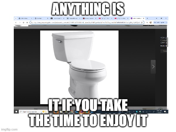 A wise plumber once said... | ANYTHING IS; IT IF YOU TAKE THE TIME TO ENJOY IT | image tagged in bad pun | made w/ Imgflip meme maker