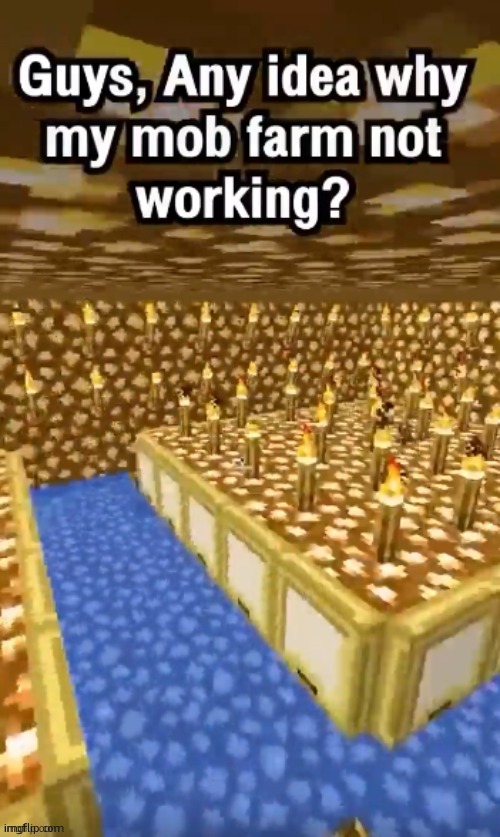 I need help guys | image tagged in meme,minecraft,mob farm | made w/ Imgflip meme maker