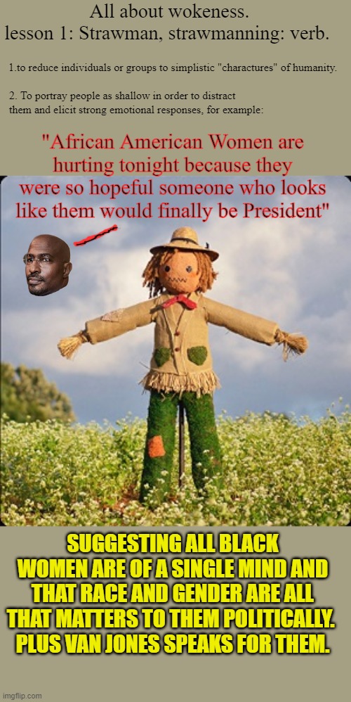 How the woke view people... | All about wokeness.
lesson 1: Strawman, strawmanning: verb. 1.to reduce individuals or groups to simplistic "charactures" of humanity. 2. To portray people as shallow in order to distract them and elicit strong emotional responses, for example:; "African American Women are hurting tonight because they were so hopeful someone who looks like them would finally be President"; SUGGESTING ALL BLACK WOMEN ARE OF A SINGLE MIND AND THAT RACE AND GENDER ARE ALL THAT MATTERS TO THEM POLITICALLY. 
PLUS VAN JONES SPEAKS FOR THEM. | image tagged in scarecrow | made w/ Imgflip meme maker