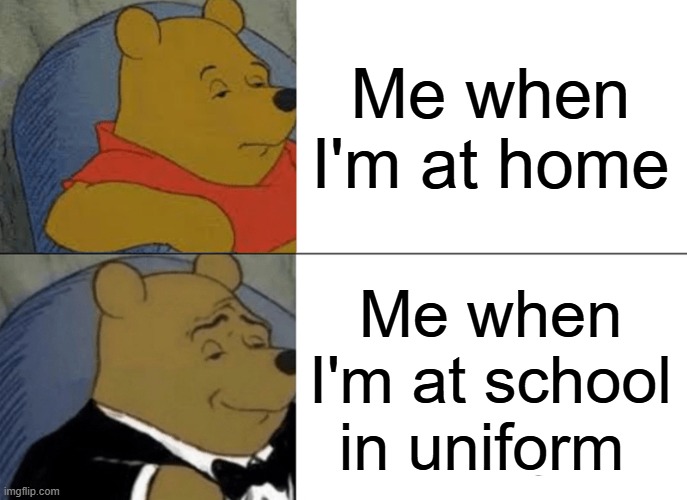 Tuxedo Winnie The Pooh Meme | Me when I'm at home; Me when I'm at school in uniform | image tagged in memes,tuxedo winnie the pooh | made w/ Imgflip meme maker