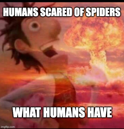 MushroomCloudy | HUMANS SCARED OF SPIDERS; WHAT HUMANS HAVE | image tagged in mushroomcloudy | made w/ Imgflip meme maker
