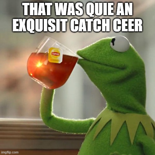 nice catch cheer | THAT WAS QUIE AN EXQUISIT CATCH CEER | image tagged in memes,but that's none of my business,kermit the frog | made w/ Imgflip meme maker