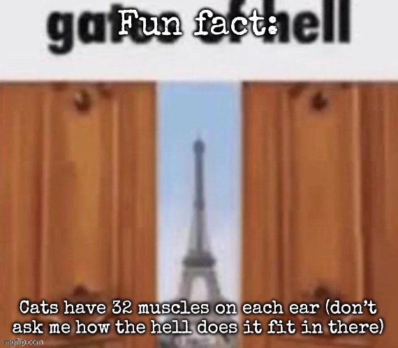 The gates of hell | Fun fact:; Cats have 32 muscles on each ear (don’t ask me how the hell does it fit in there) | image tagged in the gates of hell,msmg | made w/ Imgflip meme maker