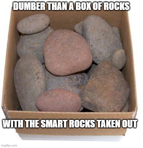 Box of Rocks | DUMBER THAN A BOX OF ROCKS WITH THE SMART ROCKS TAKEN OUT | image tagged in box of rocks | made w/ Imgflip meme maker
