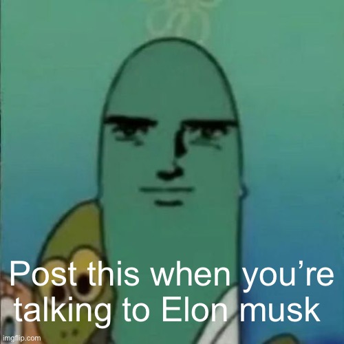 post this when you masturbing | Post this when you’re talking to Elon musk | image tagged in post this when you masturbing,msmg | made w/ Imgflip meme maker