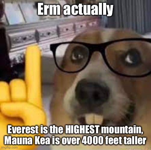 Erm actually Everest is the HIGHEST mountain, Mauna Kea is over 4000 feet taller | image tagged in nerd dog | made w/ Imgflip meme maker