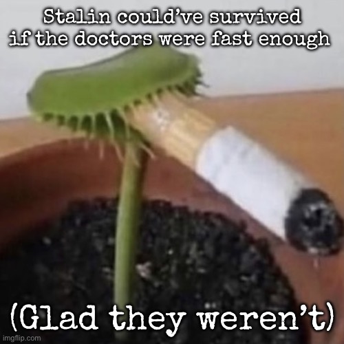 plant weeds | Stalin could’ve survived if the doctors were fast enough; (Glad they weren’t) | image tagged in plant weeds,msmg | made w/ Imgflip meme maker