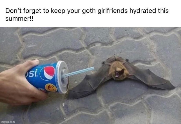 Goth girlfriend | image tagged in goth,goth girl,hydra | made w/ Imgflip meme maker
