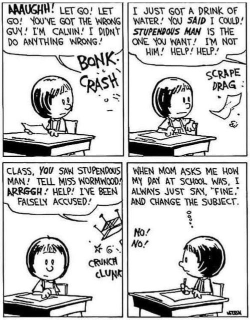 No Doubt Blackielawful's Childhood Was as Such | image tagged in calvin and hobbes | made w/ Imgflip meme maker