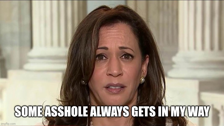 kamala harris | SOME ASSHOLE ALWAYS GETS IN MY WAY | image tagged in kamala harris | made w/ Imgflip meme maker
