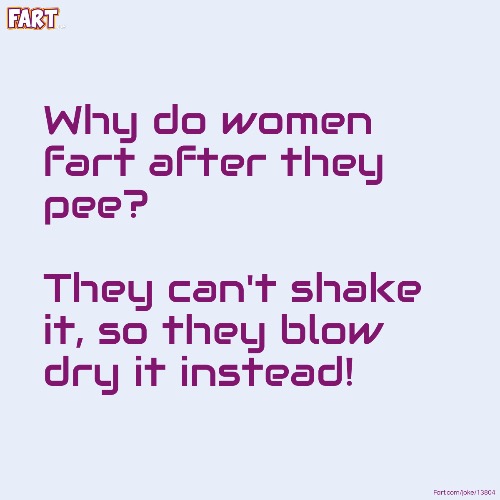 Blow Dry Pee | image tagged in farts,fart jokes,pee,women,bad joke,funny memes | made w/ Imgflip meme maker